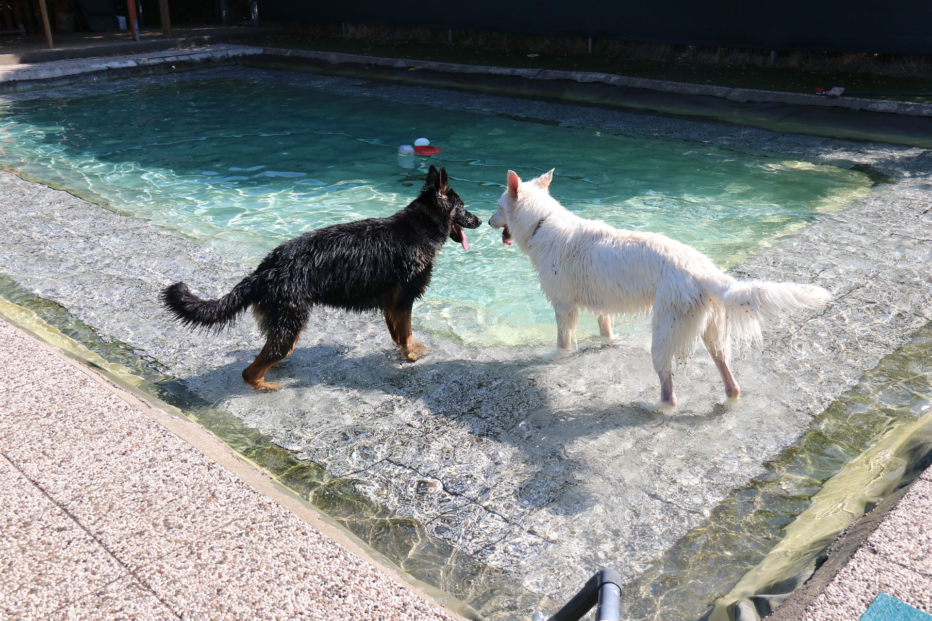 thp-startseite-e8-b1