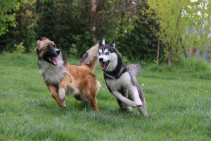 thp-startseite-e8-b10