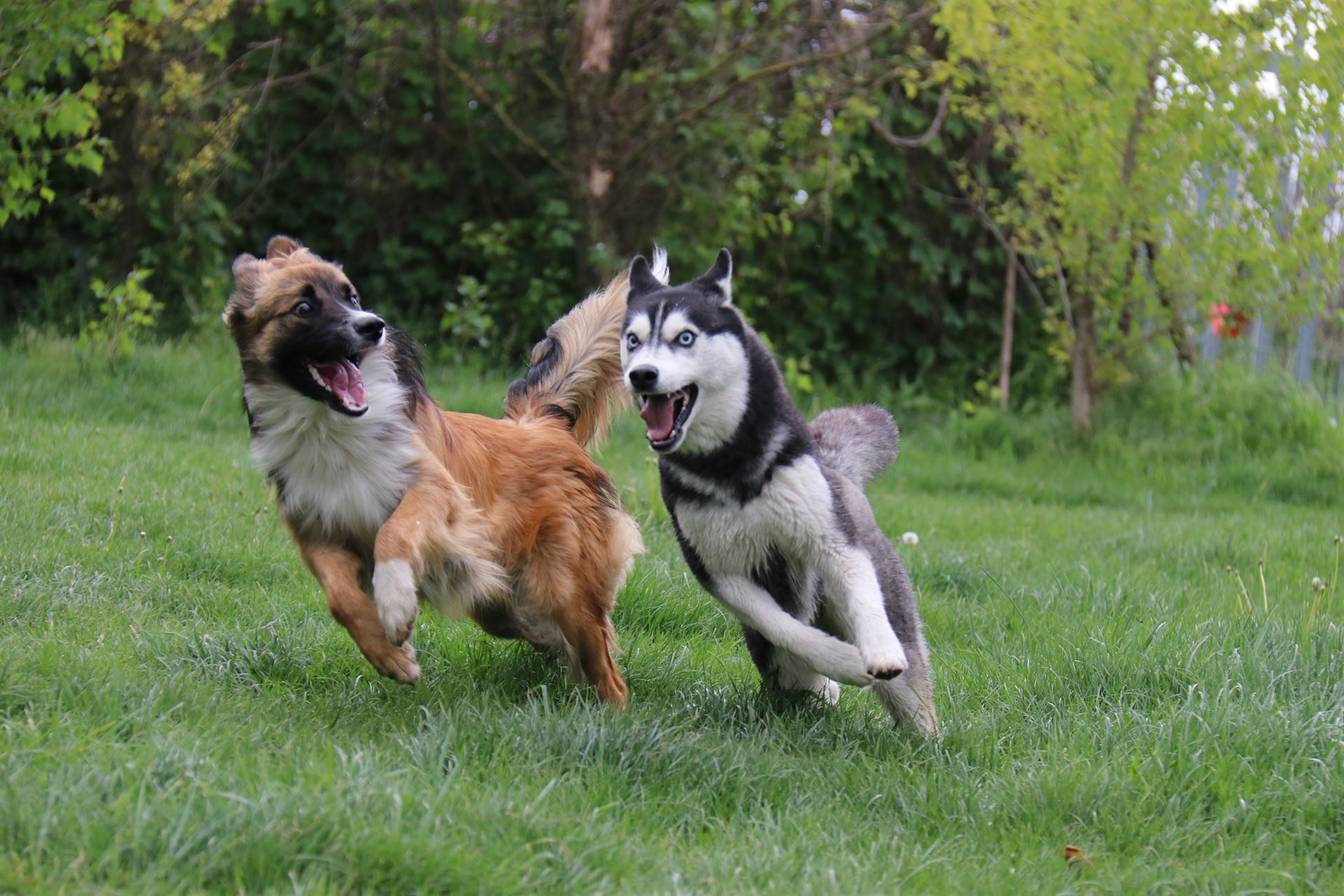 thp-startseite-e8-b10