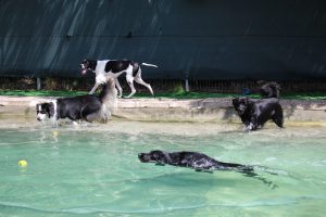 thp-startseite-e8-b11