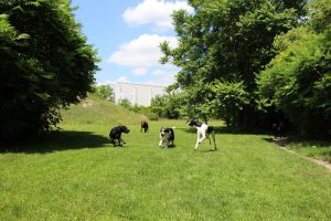 thp-startseite-e8-b12