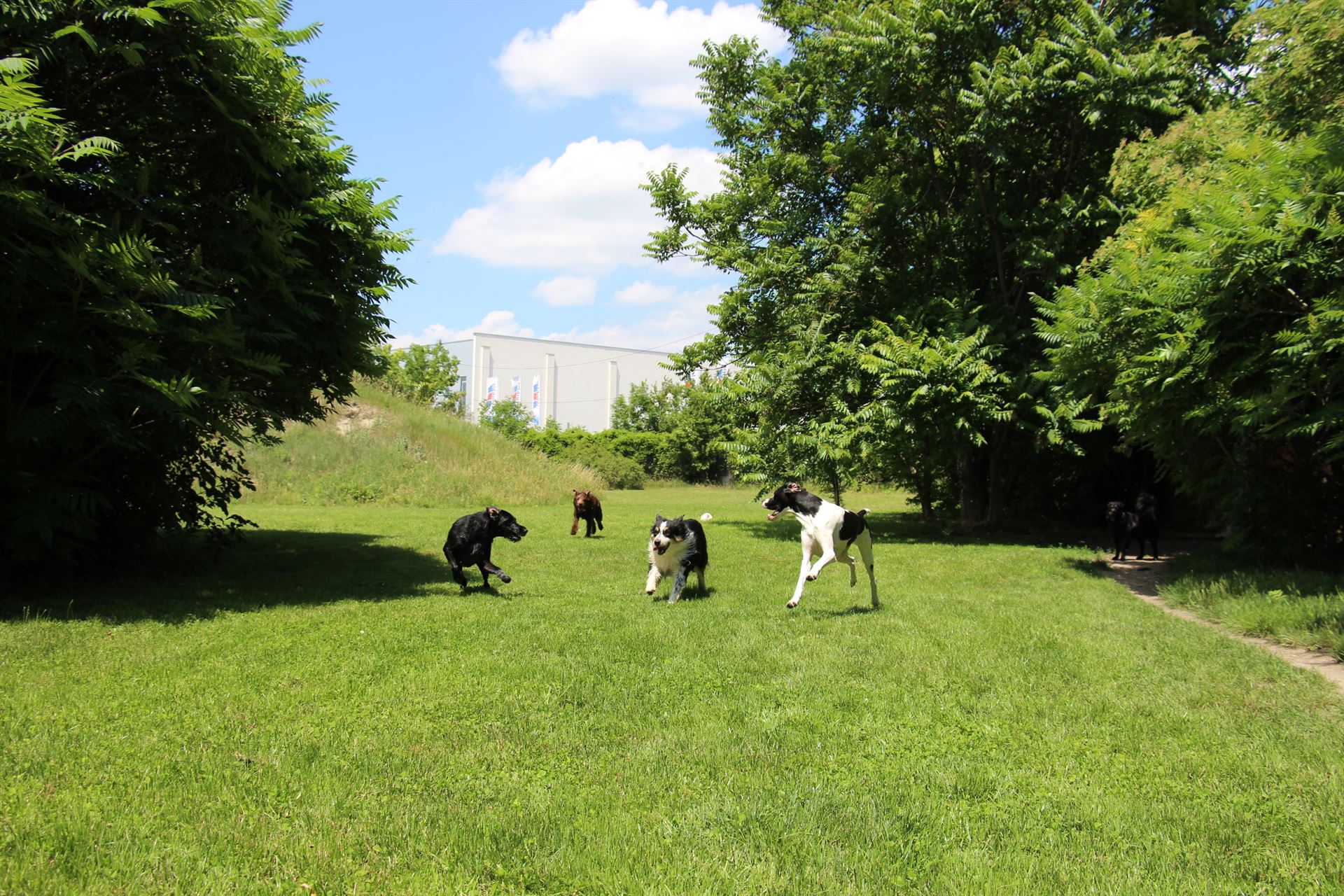 thp-startseite-e8-b12