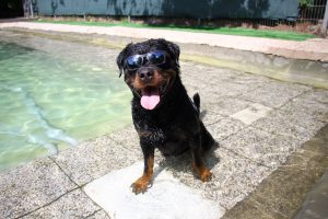 thp-startseite-e8-b13