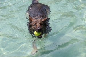 thp-startseite-e8-b14