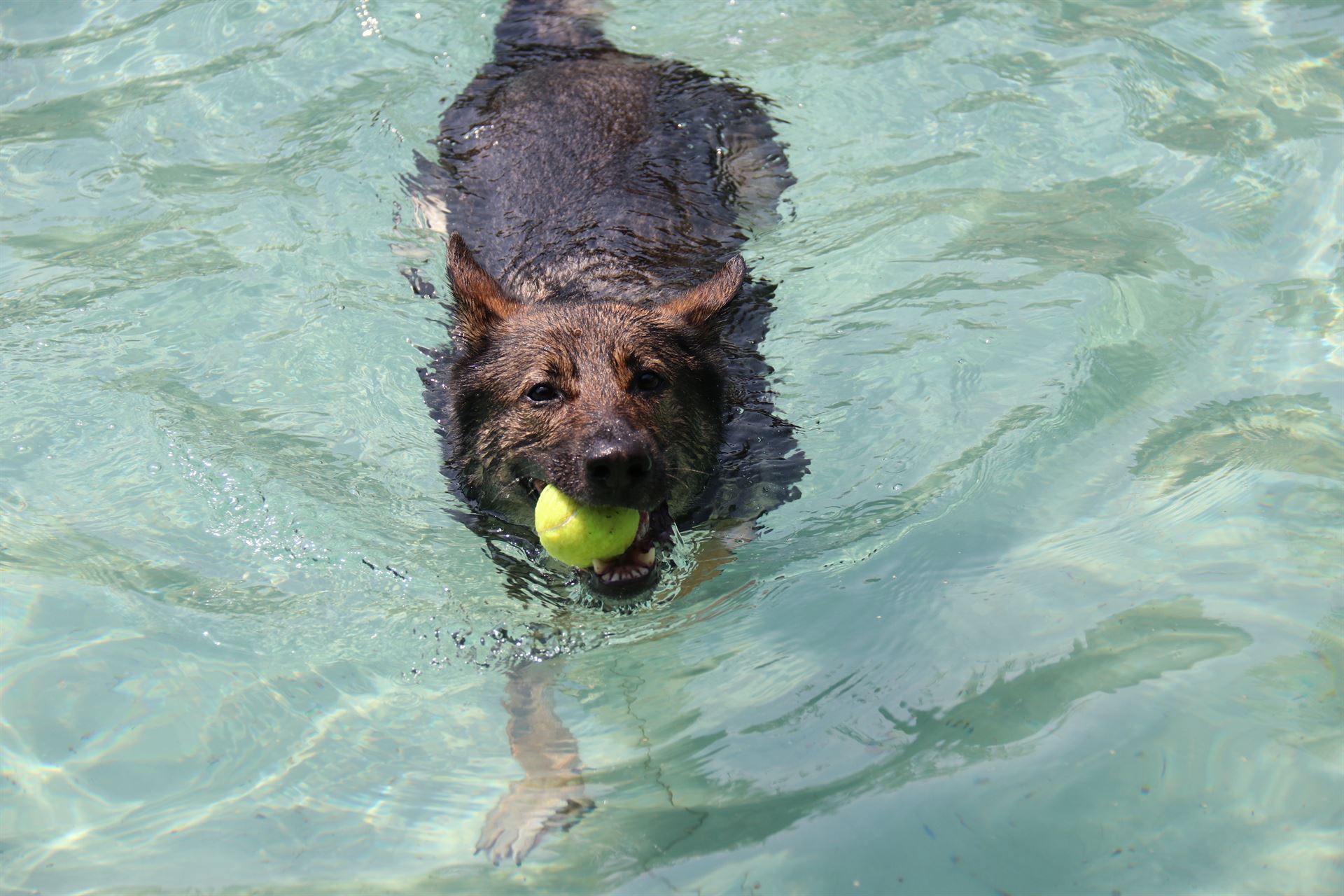 thp-startseite-e8-b14