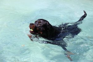 thp-startseite-e8-b15