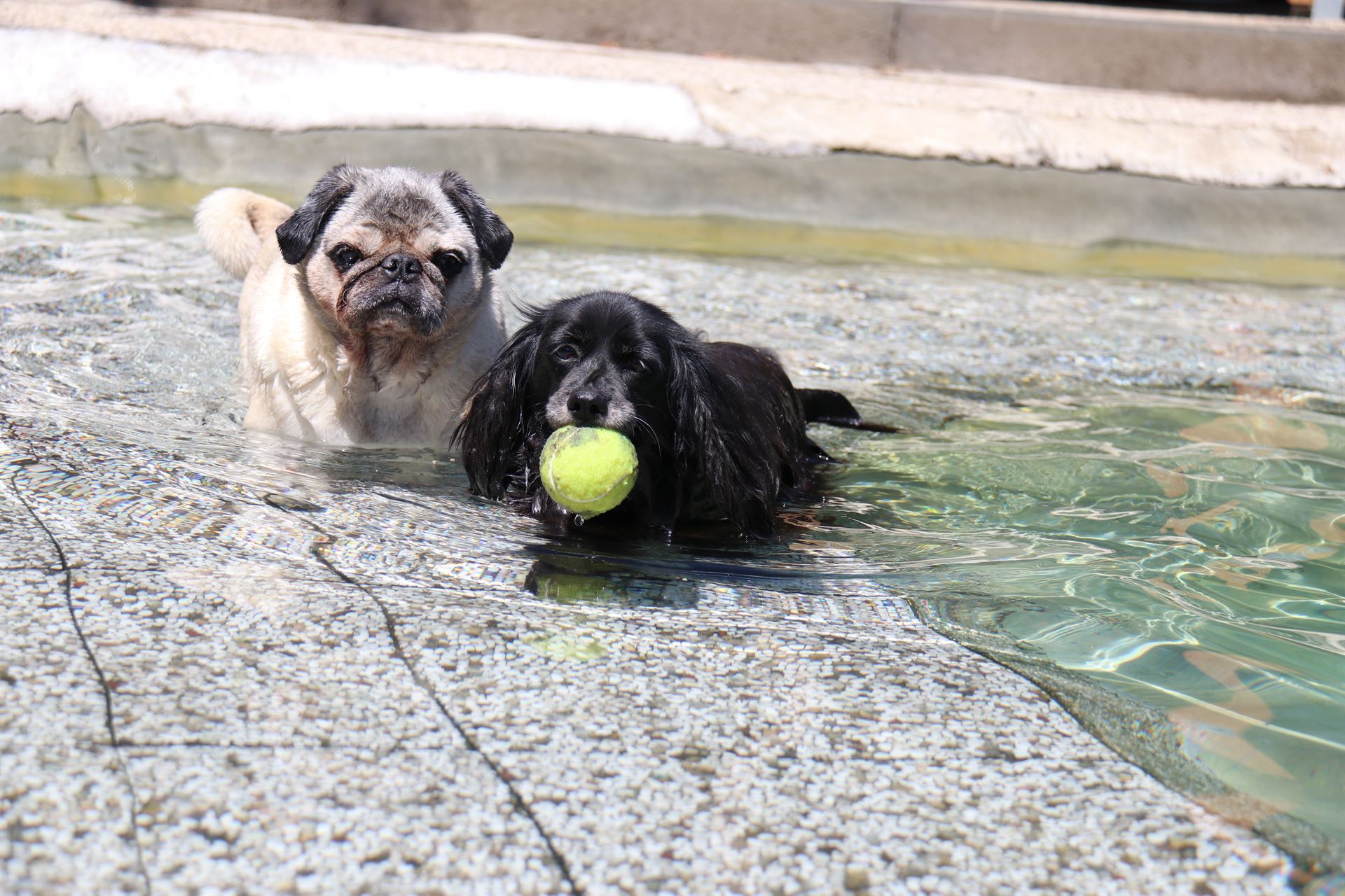 thp-startseite-e8-b16