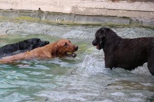 thp-startseite-e8-b17