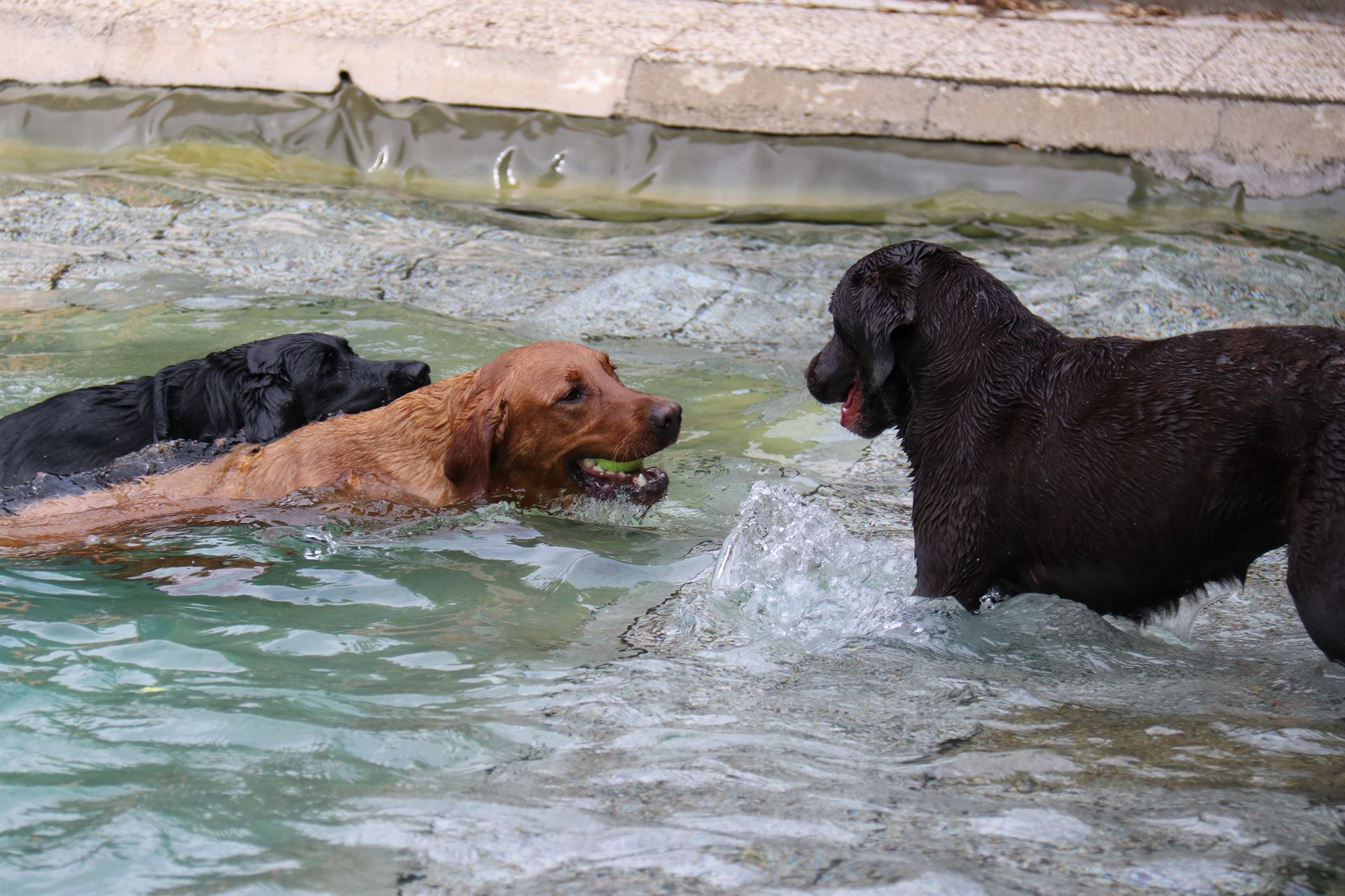 thp-startseite-e8-b17