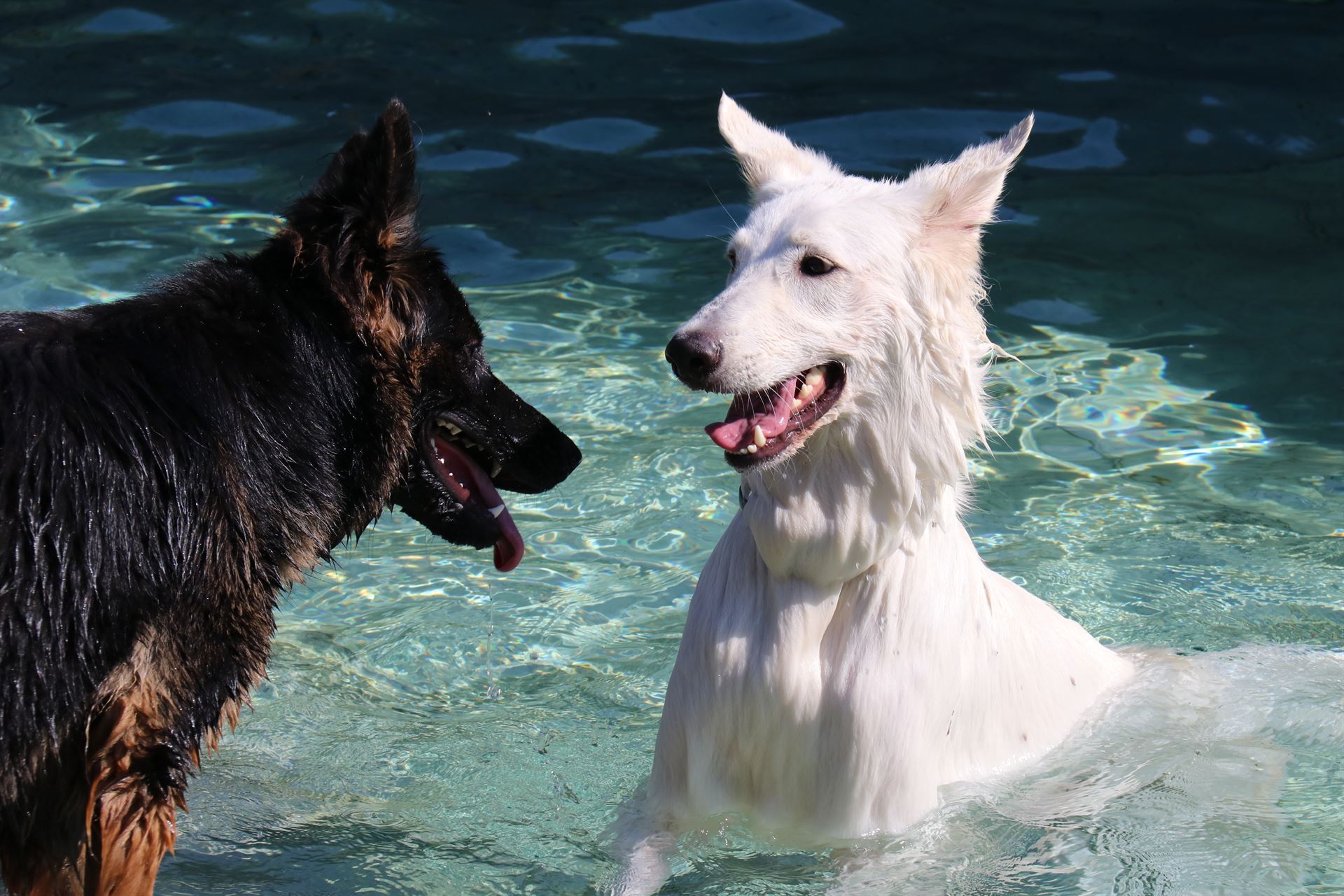 thp-startseite-e8-b18