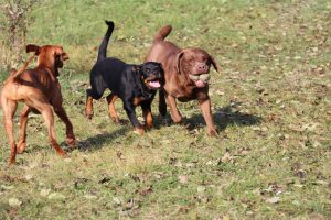 thp-startseite-e8-b19