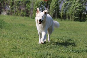 thp-startseite-e8-b2