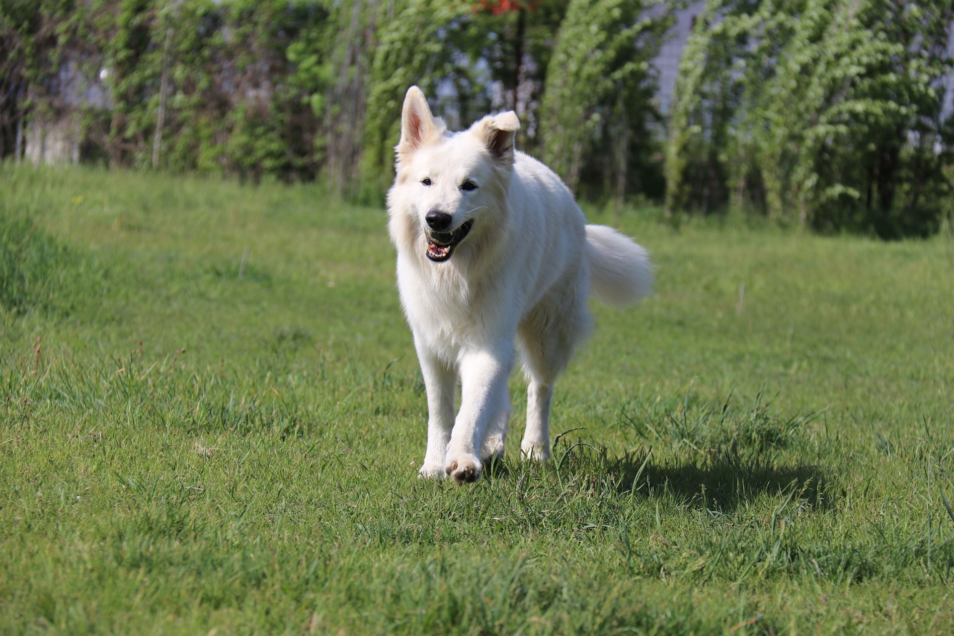 thp-startseite-e8-b2