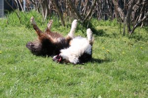 thp-startseite-e8-b20