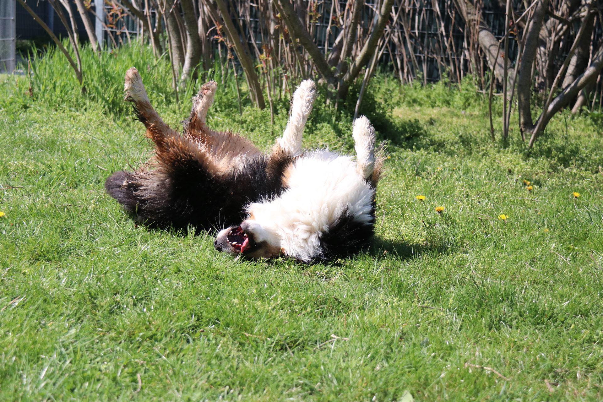 thp-startseite-e8-b20