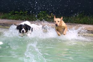 thp-startseite-e8-b21