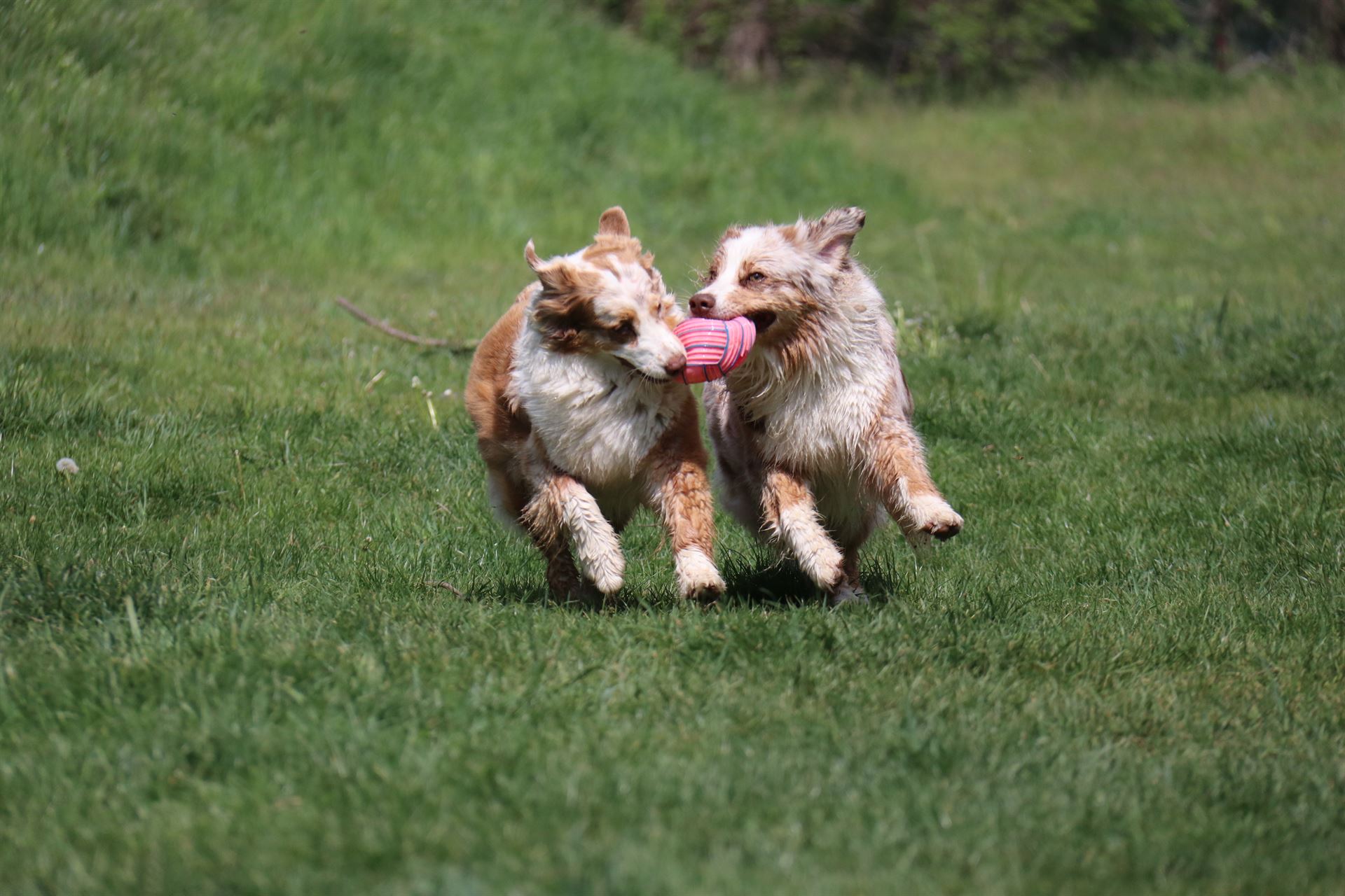 thp-startseite-e8-b3