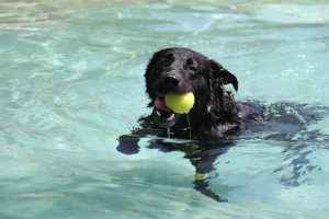 thp-startseite-e8-b4