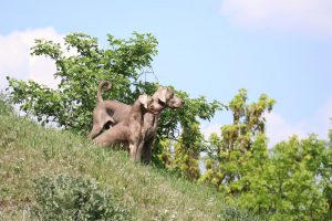 thp-startseite-e8-b5