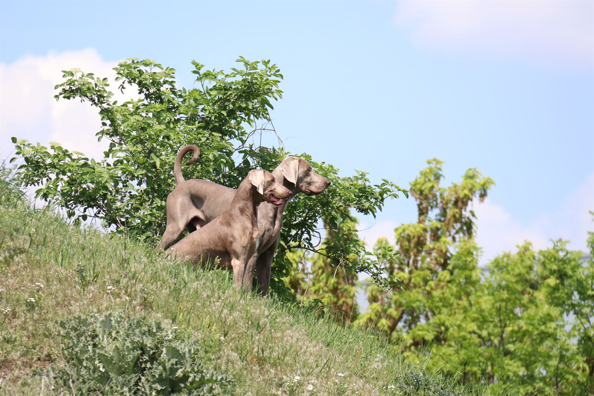 thp-startseite-e8-b5