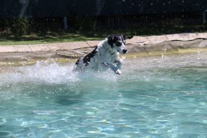 thp-startseite-e8-b6