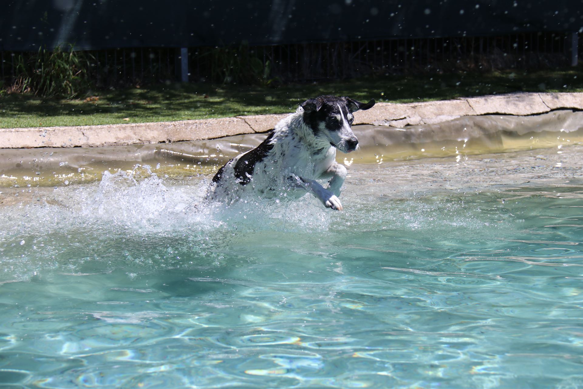 thp-startseite-e8-b6