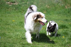 thp-startseite-e8-b7