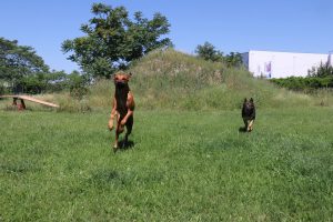 thp-startseite-e8-b8