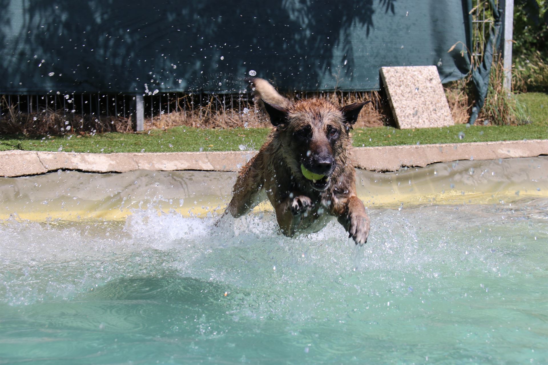 thp-startseite-e8-b9